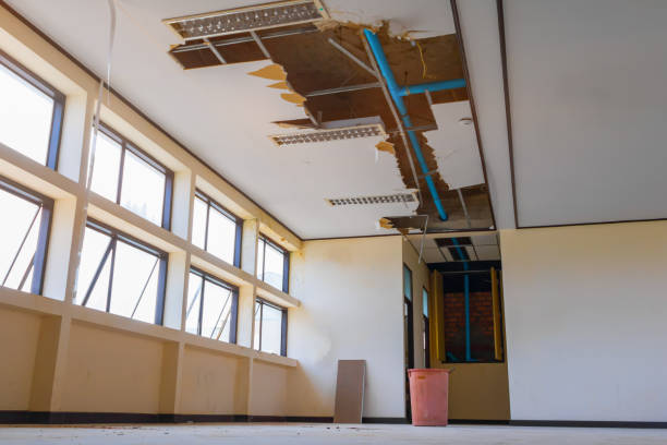  Rockdale, IL Water damage restoration Pros