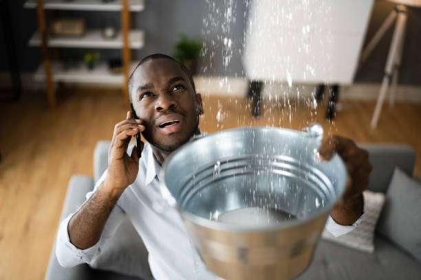 Best Sewage cleanup and water damage restoration  in Rockdale, IL