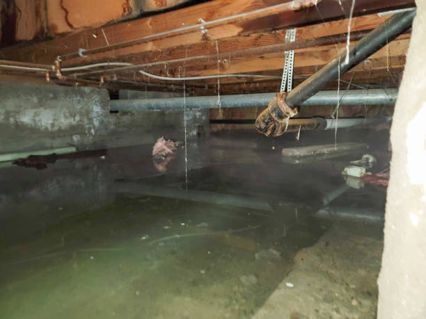 Best 24/7 water damage repair  in Rockdale, IL