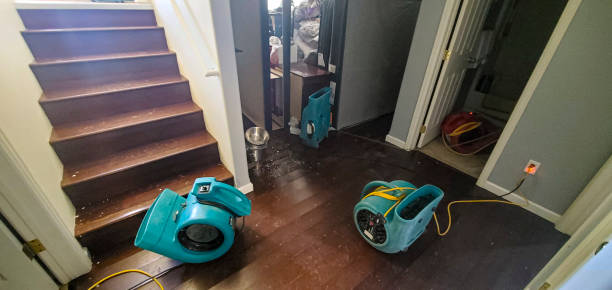 Best Flooded house restoration  in Rockdale, IL