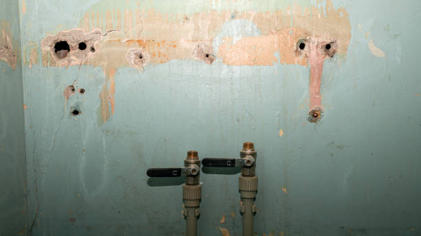 Best Ceiling water damage repair  in Rockdale, IL