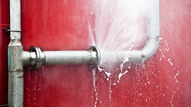 Best Ceiling water damage repair  in Rockdale, IL